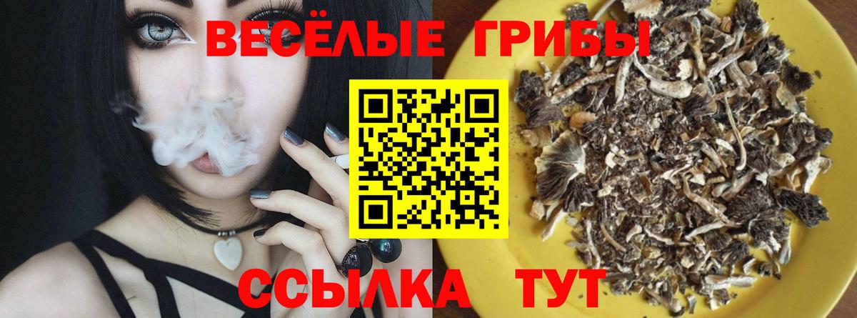 купить наркоту  Псилоцибиновые грибы ЛСД  Псилоцибиновые грибы мицелий  Вход с VPN  Сорочинск 