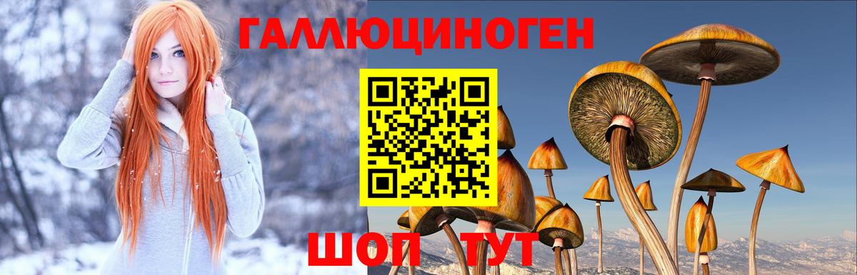 Галлюциногенные грибы Cubensis Сорочинск